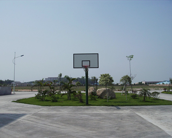 Basketball court